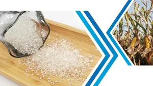 On the left are transparent PLA particles, and on the right are corn, one of the biodegradable materials used to make PLA.