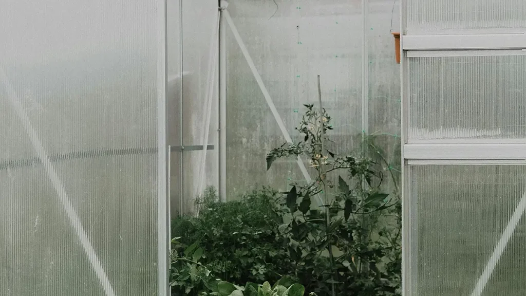 PC Sheet - Constructed Greenhouse Enclosure for Plant Growth