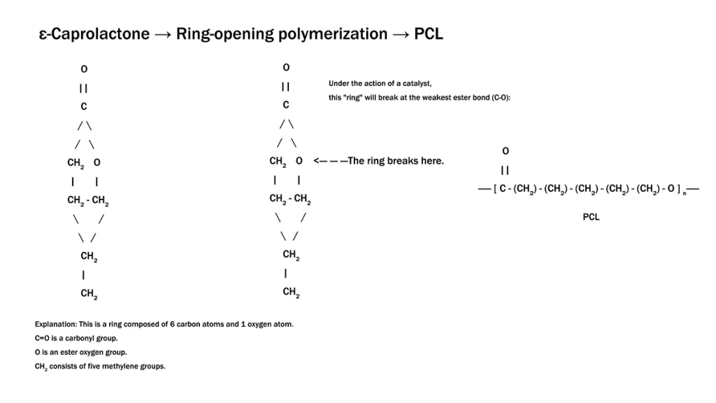 Chemical reaction diagram: Ring-opening polymerization of ε-caprolactone to form polycaprolactone