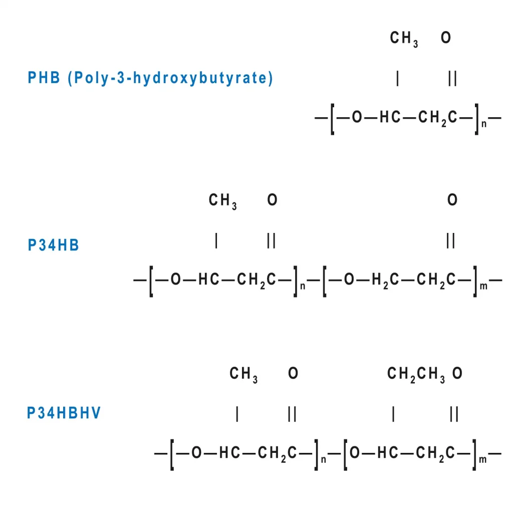 Diagram illustrating the repeating unit chemical structures of three polyhydroxyalkanoate (PHA) polymers: PHB (Poly-3-hydroxybutyrate) at the top, P34HB in the middle, and P34HBHV at the bottom.