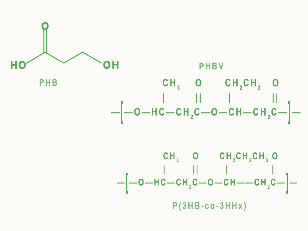 Diagram illustrating the chemical structures of PHB monomer, PHBV copolymer repeating unit, and P(3HB-co-3HHx) copolymer repeating unit in polyhydroxyalkanoates.