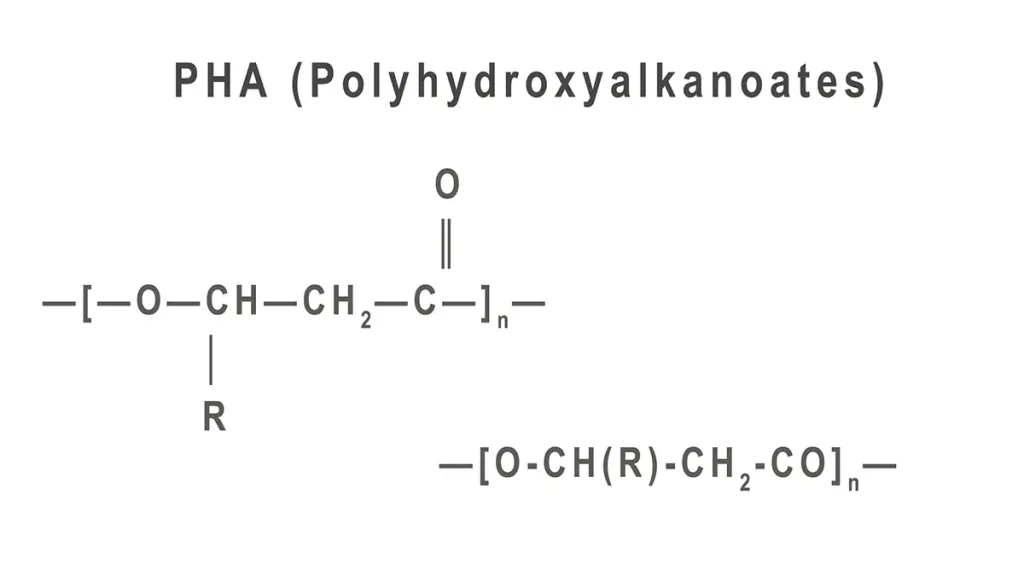Molecular Structure of Polyhydroxyalkanoates (PHA)