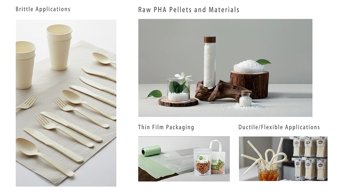 PHA Applications Spectrum: From Brittle Rigid Products to Ductile Flexible Materials