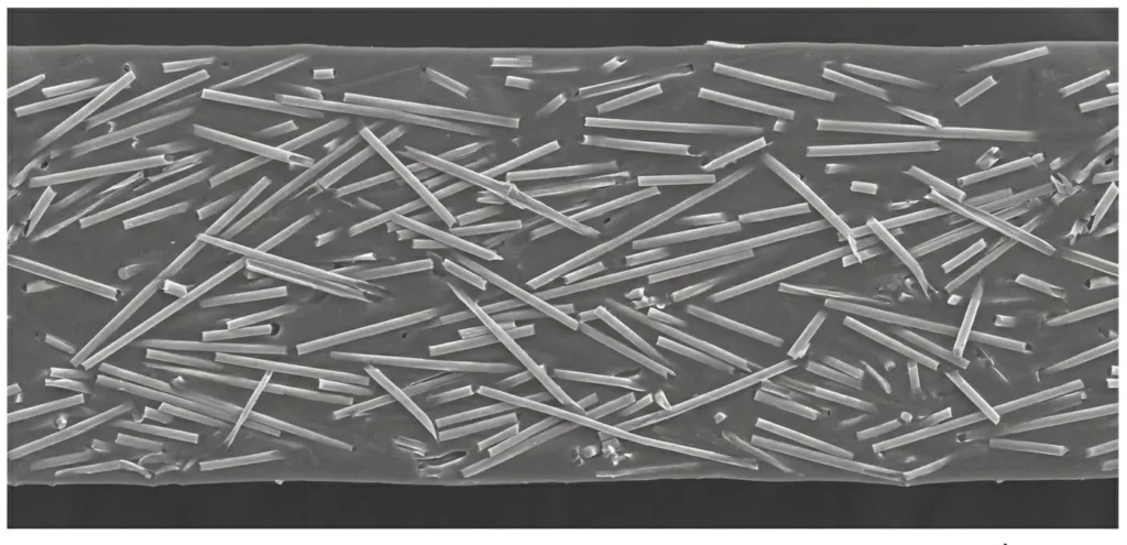 Scanning electron microscope (SEM) image showing the uniform cross-section distribution of 30% glass fiber reinforcement within a Polybutylene Terephthalate (PBT) polymer matrix.