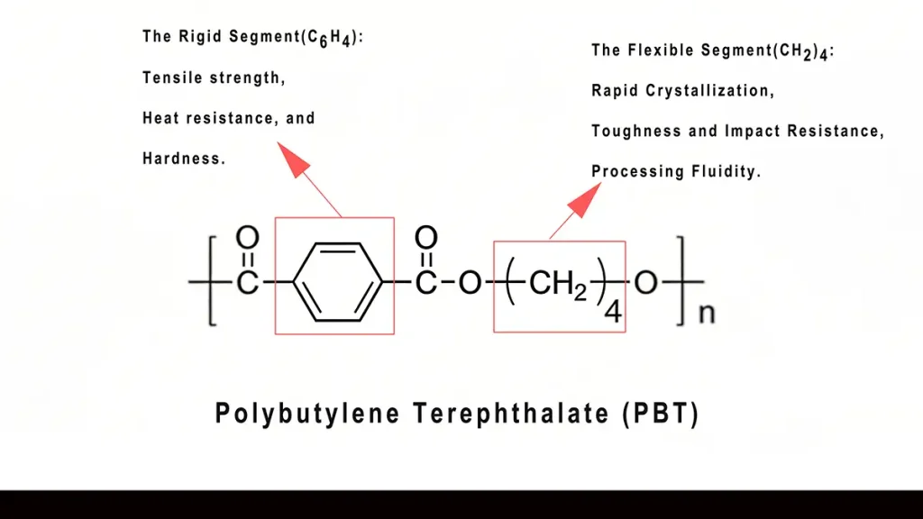 PBT Resin Chemical Structure: Rigid vs. Flexible Segments