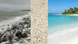 From Plastic Pollution to Prisitine Shores via PHA