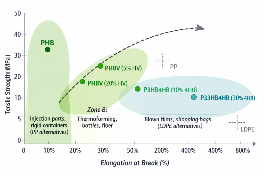 Comparison of PHA Copolymer Grades (PHB, PHBV, P3HB4HB) vs. Traditional Polyolefins (PP, LDPE)